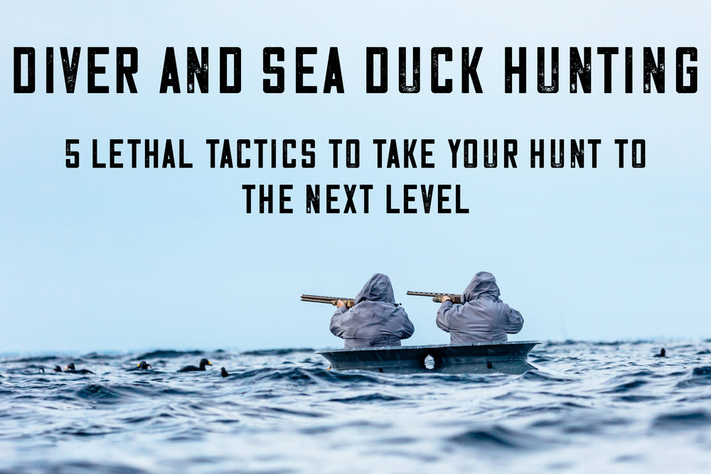 Mastering Diver Duck and Sea Duck Hunting: 5 Lethal Tactics for Open Water and Coastal Hunters