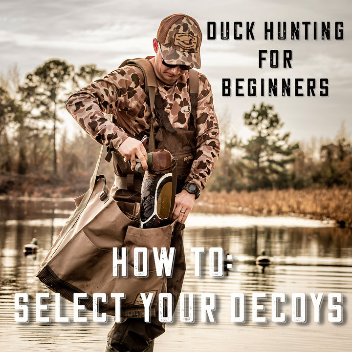How to choose duck decoys