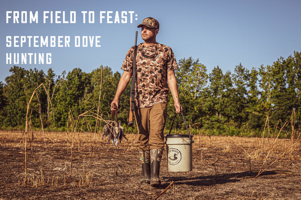 From Field to Feast: The Thrills of September Dove Hunting Revealed